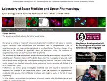 Tablet Screenshot of grimm-space-research.com